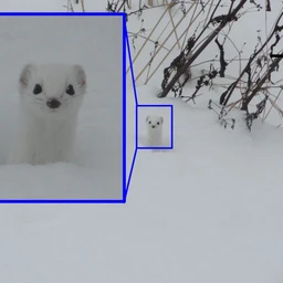 Убей во мне Зятя