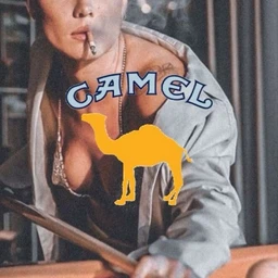 Camel