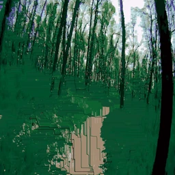 Glitch