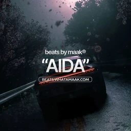 🐼 Aida