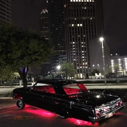impala