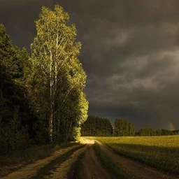 закрытность