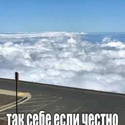 gottatrancsendmywaytothetop!