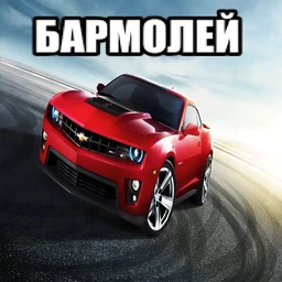 бармолей