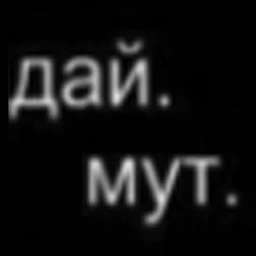 DAI MUT