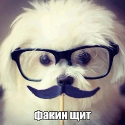 ОПЫ ПЛАЧУТ