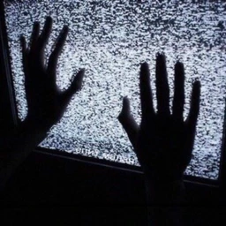no reality
