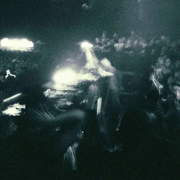 whiskey