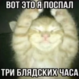 пищалка новогодняя