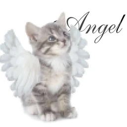 angel