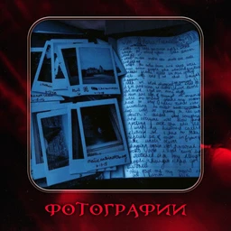 Фотографии