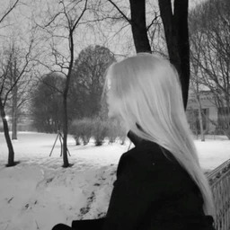 shelter