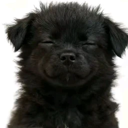 i luv u^