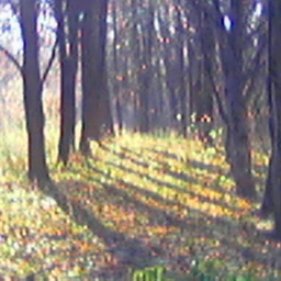 naturesong