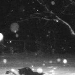 DECEMBER