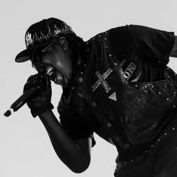 DONIO - DON TOLIVER TYPE