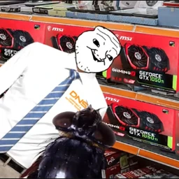 gtx 1050 (ffp)