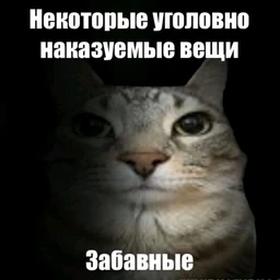 are you still alive?
