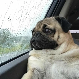 tired