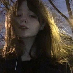 likeDieSoFun2
