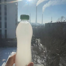 sugar free