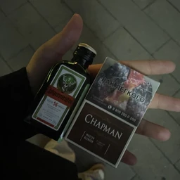 chapman