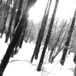 blindness