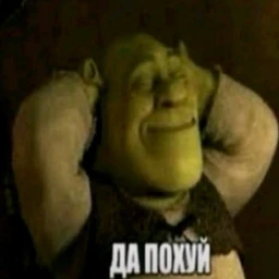 oui