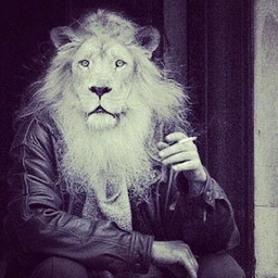 lion @dj_tryhardfreaky