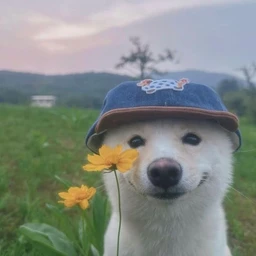 Happy beat