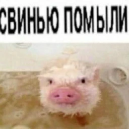 makar)