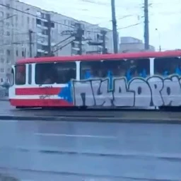 pisyuliki