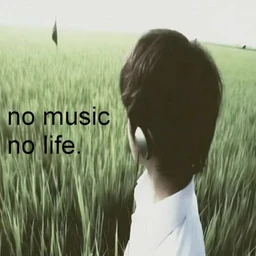 // no music // no life //
