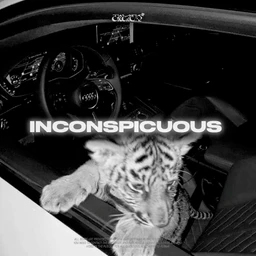INCONSPICUOUS