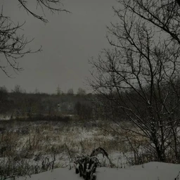 ш-torm