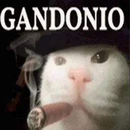 @ceo/230