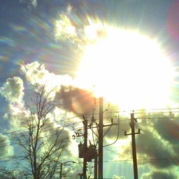 Sunny @dadamnail