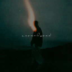 «never loved» Fm, 158 bpm
