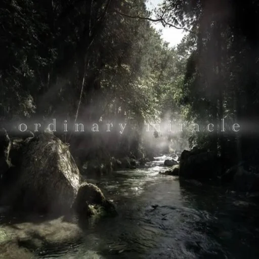 ordinary miracle