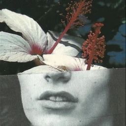 Limb