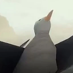 летучий голландец