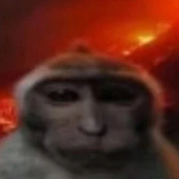NEJEXE