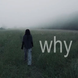walk