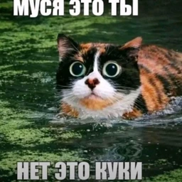 me