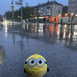 summer minion