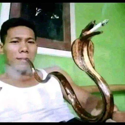 smoke