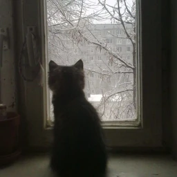 че с тобой