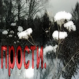 677