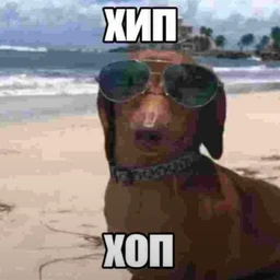 Sosa