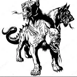 Dogs